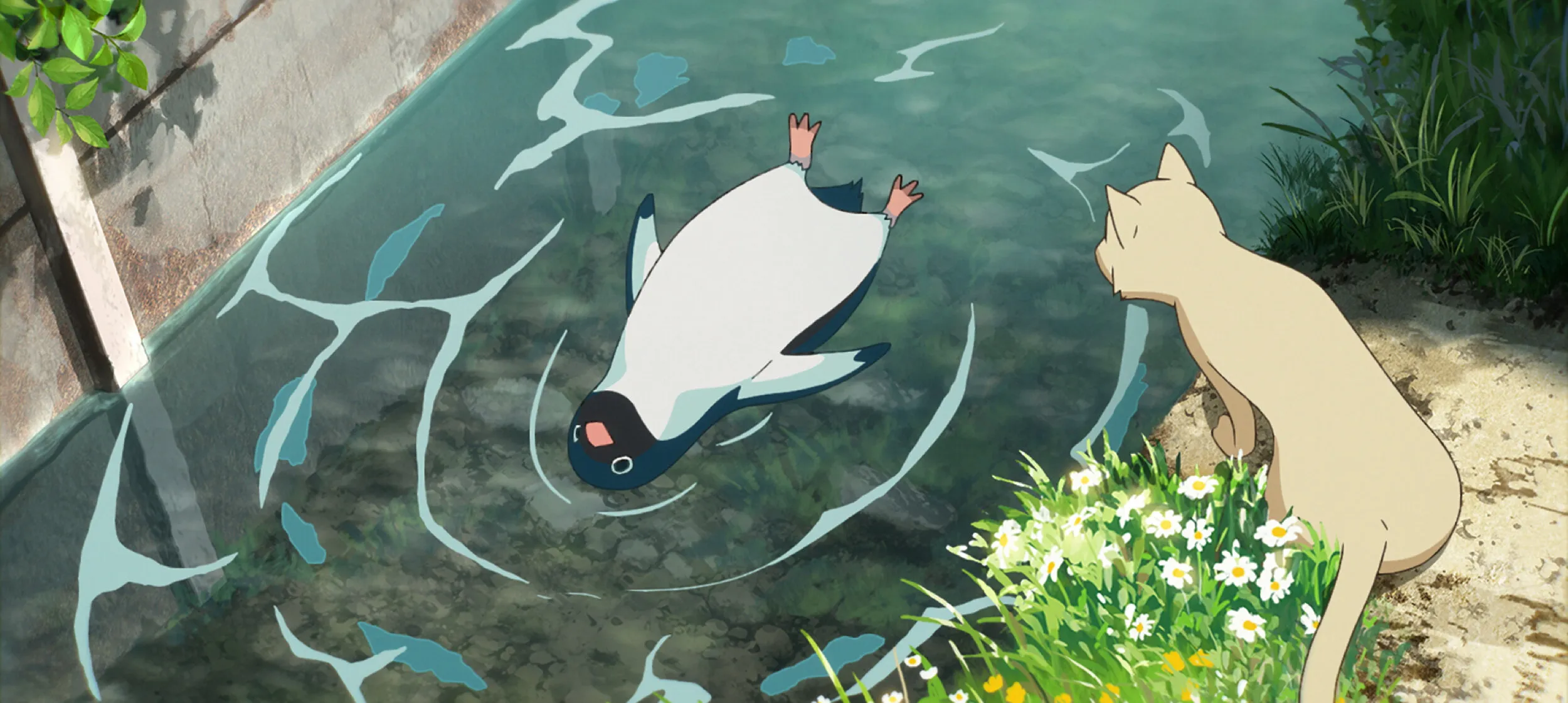 Кадр из фильма Тайная жизнь пингвинов