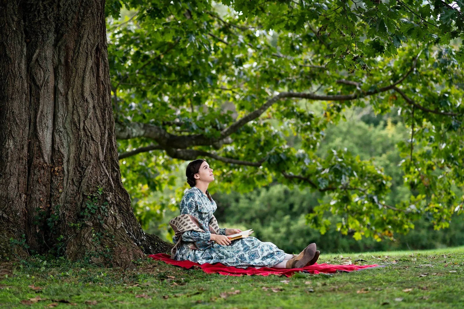 Кадр из фильма Дикинсон