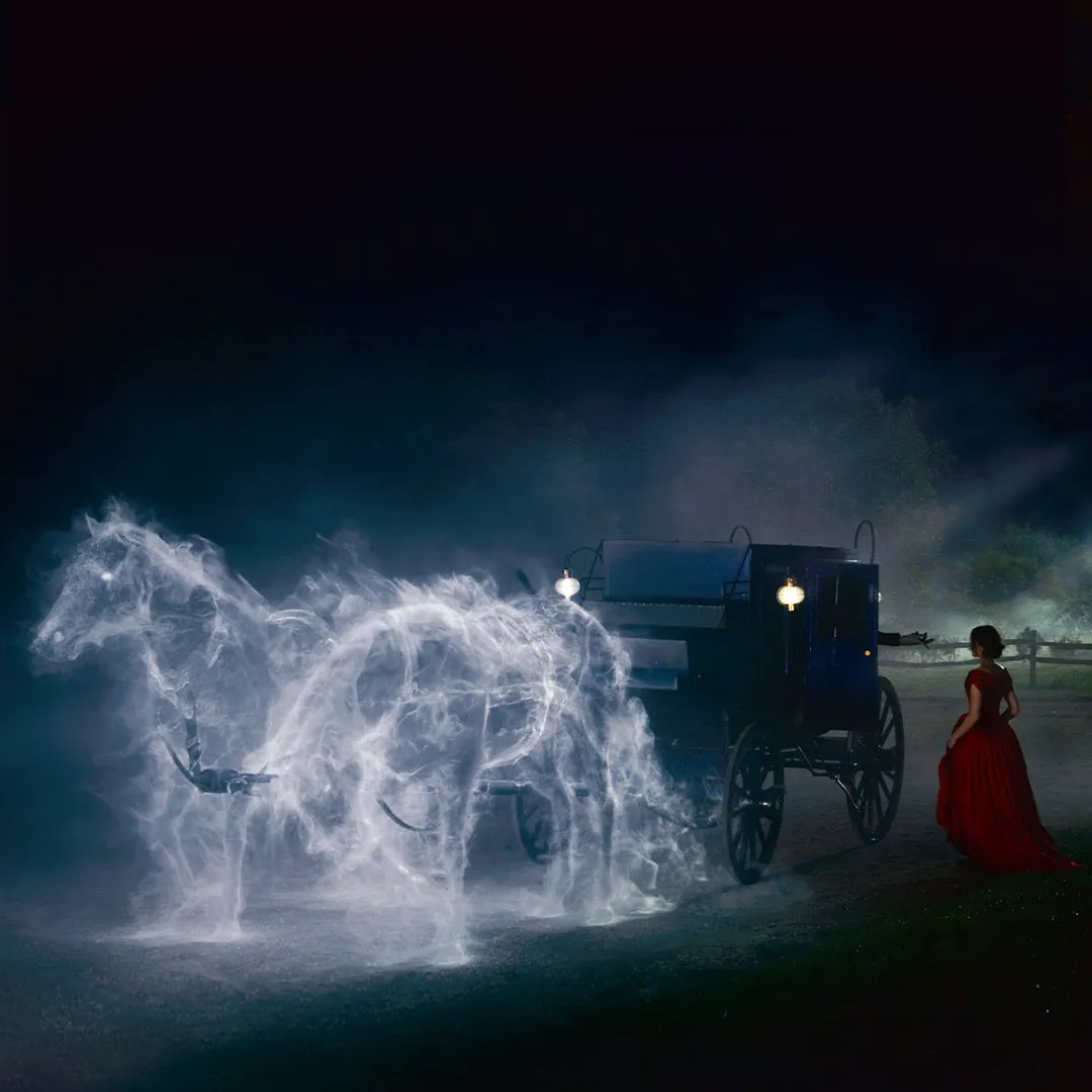 Кадр из фильма Дикинсон