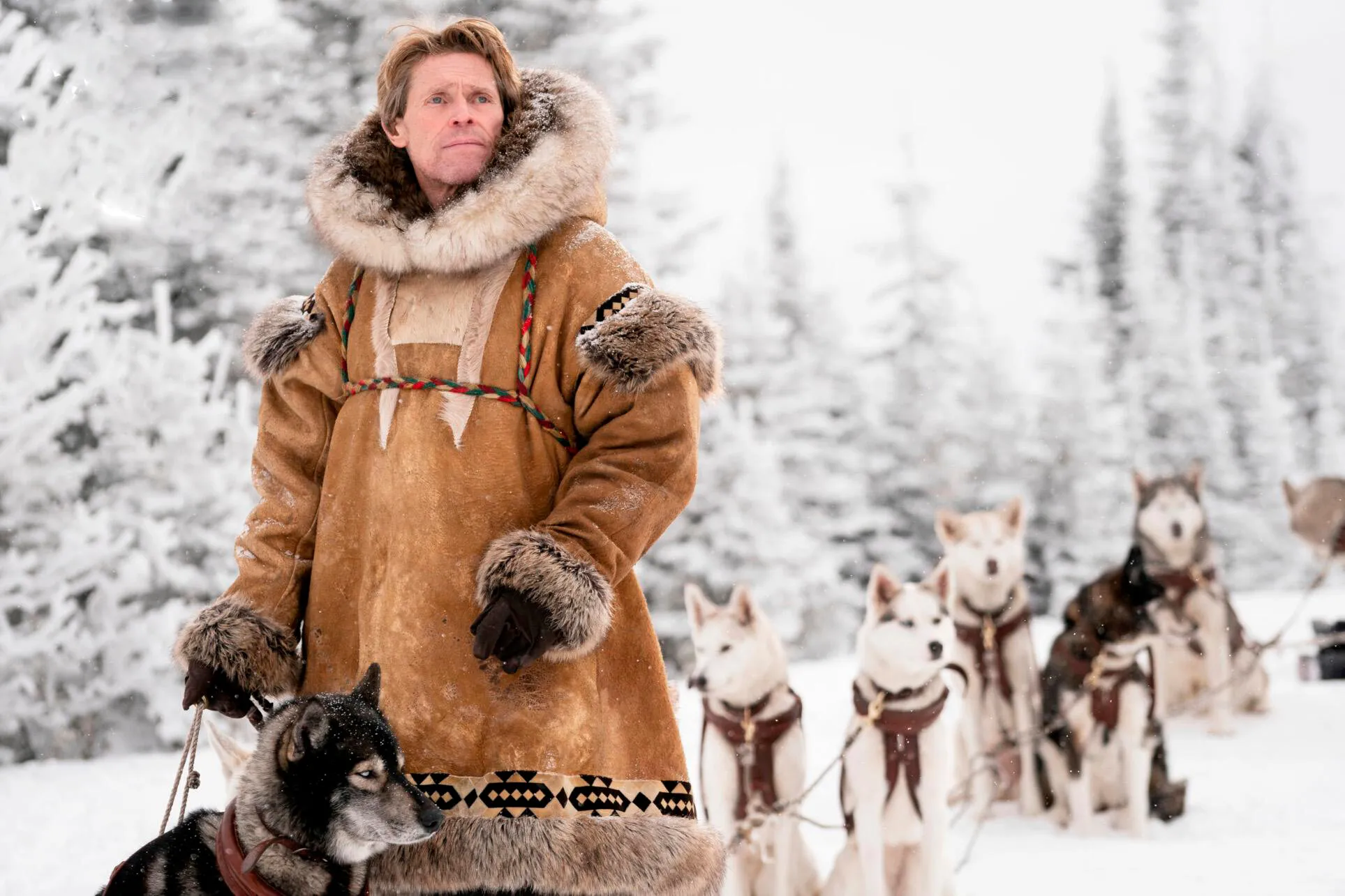 Кадр из фильма Того