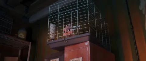 Кадр из фильма Суперпитомцы