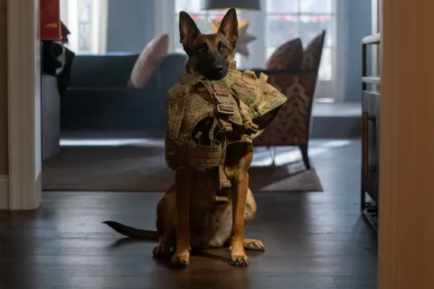 Кадр из фильма Лулу и Бриггс