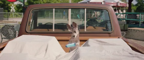 Кадр из фильма Прыгучая братва