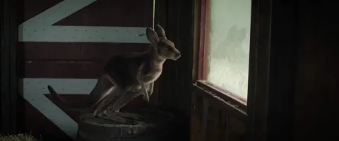 Кадр из фильма Прыгучая братва