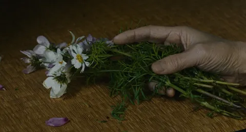 Кадр из фильма Под открытым небом