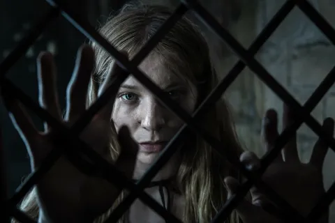 Кадр из фильма Проклятие черного паука