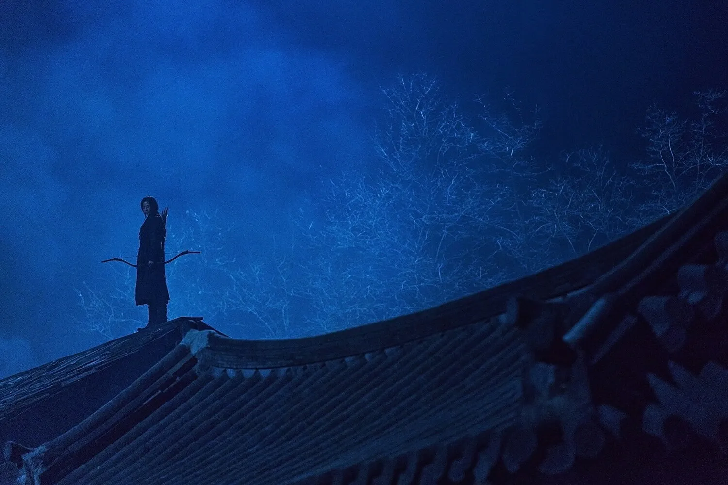 Кадр из фильма Королевство зомби: История Ашинь