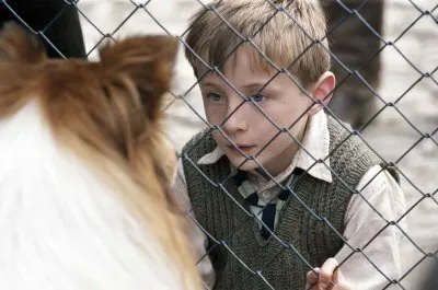 Кадр из фильма Лэсси