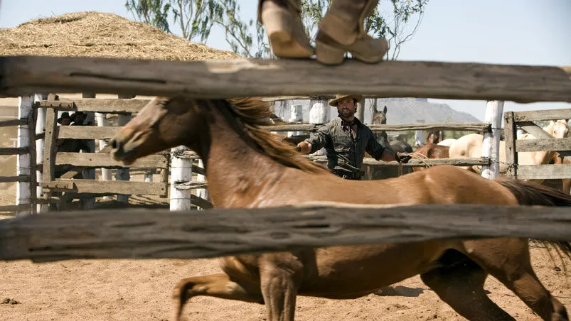 Кадр из фильма Австралия