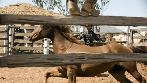 Кадр из фильма Австралия