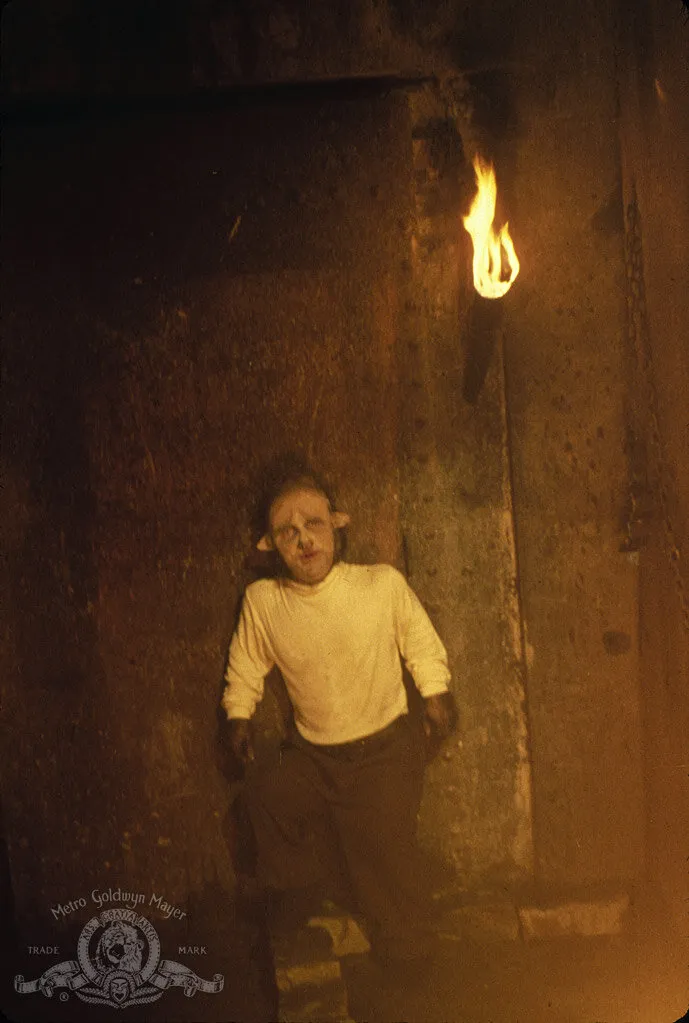 Кадр из фильма Болотная тварь