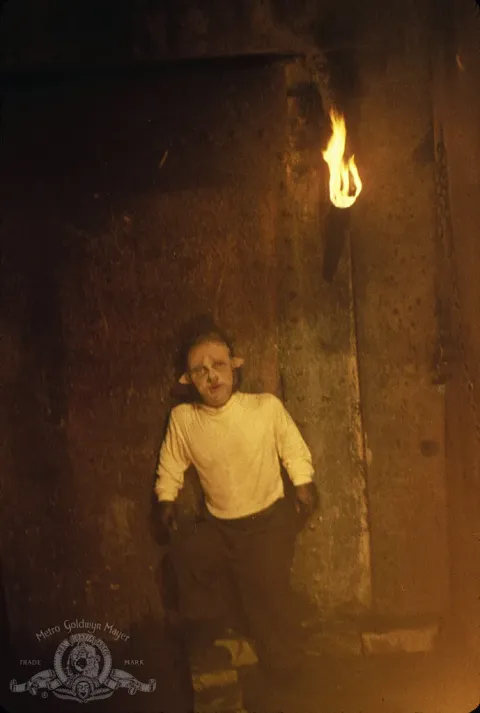 Кадр из фильма Болотная тварь