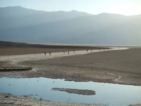 Кадр из фильма Древо жизни