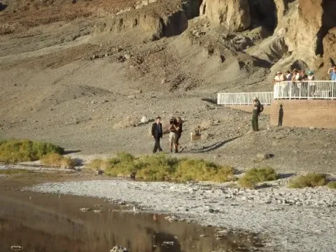 Кадр из фильма Древо жизни