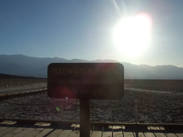 Кадр из фильма Древо жизни