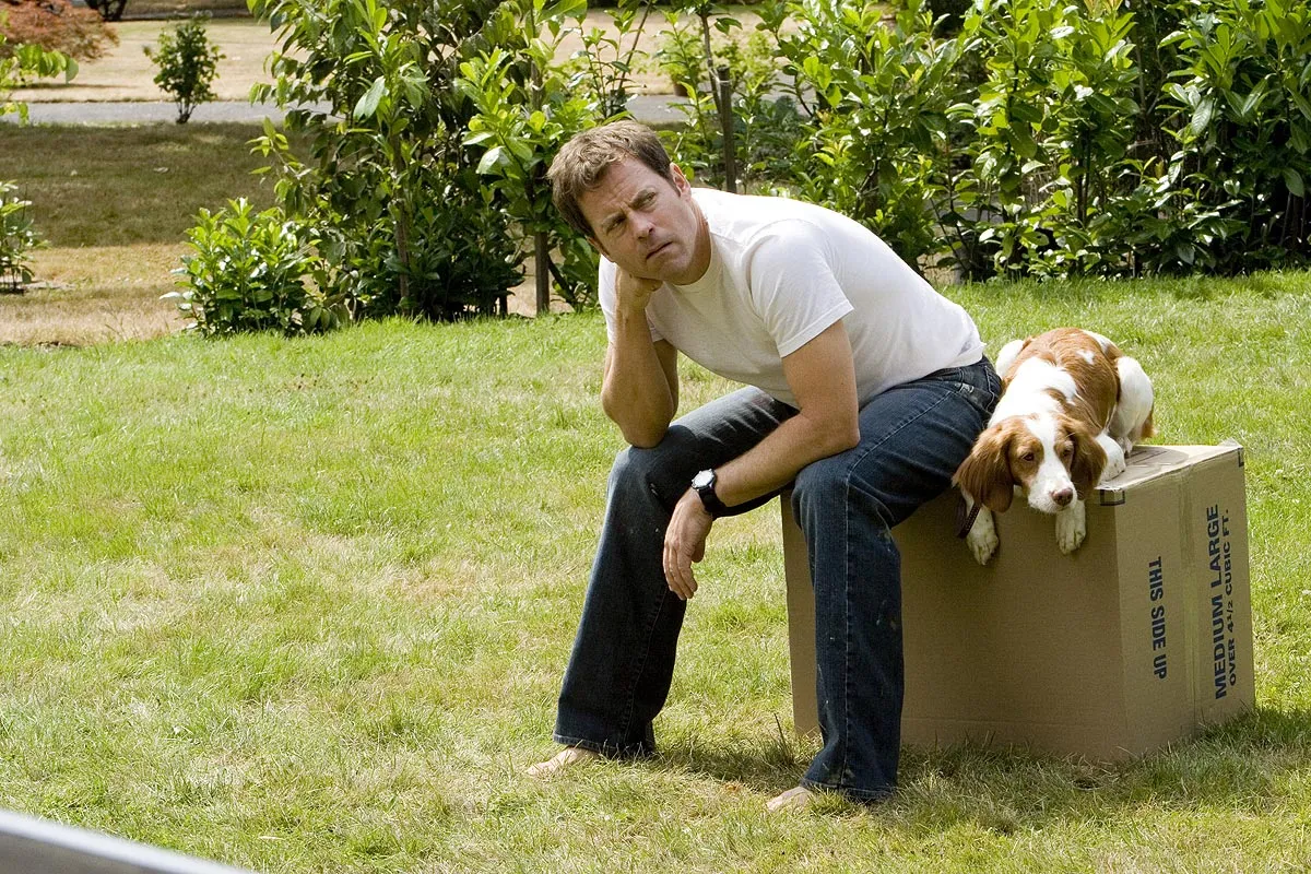 Кадр из фильма Праздник любви