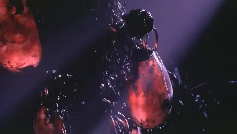 Кадр из фильма Матрица