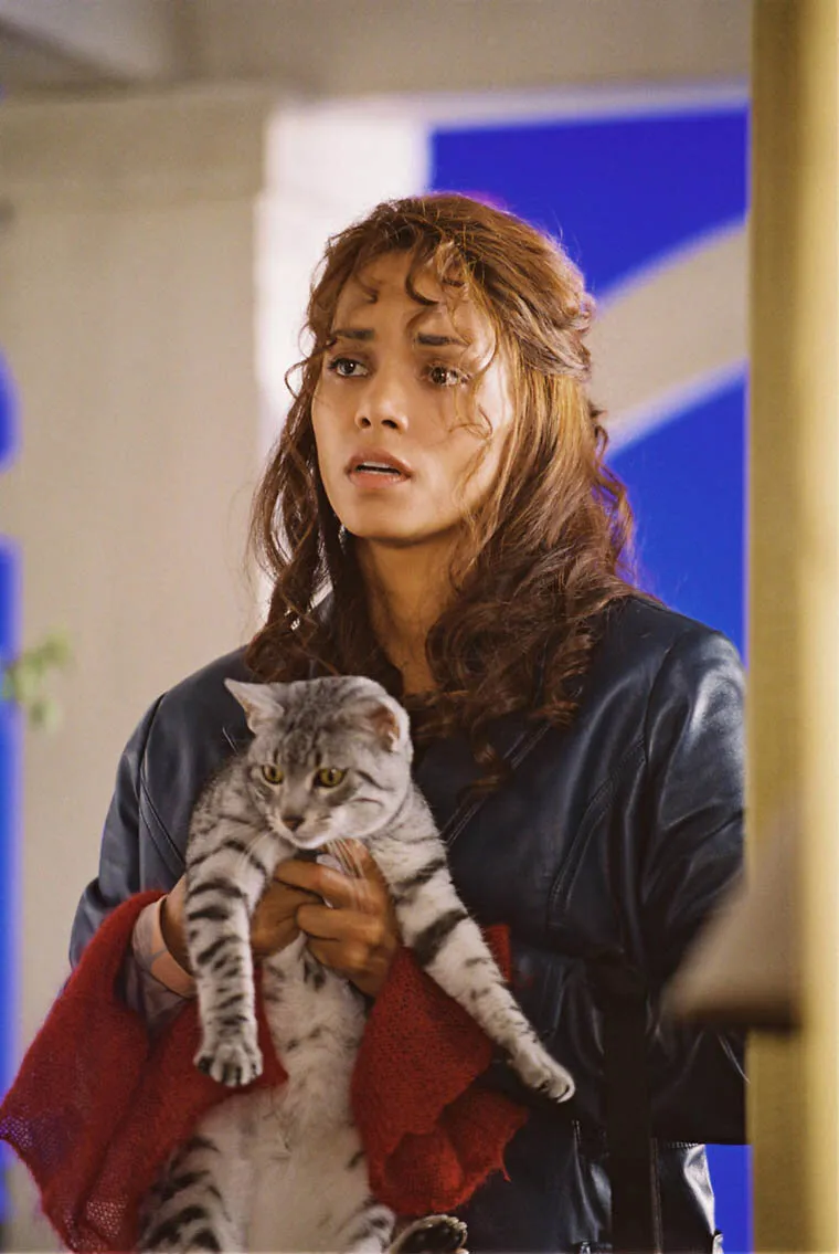 Кадр из фильма Женщина-кошка