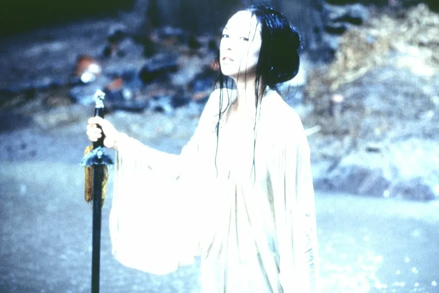 Кадр из фильма Крадущийся тигр, затаившийся дракон