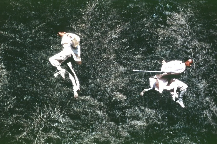 Кадр из фильма Крадущийся тигр, затаившийся дракон