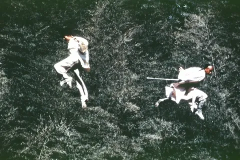 Кадр из фильма Крадущийся тигр, затаившийся дракон