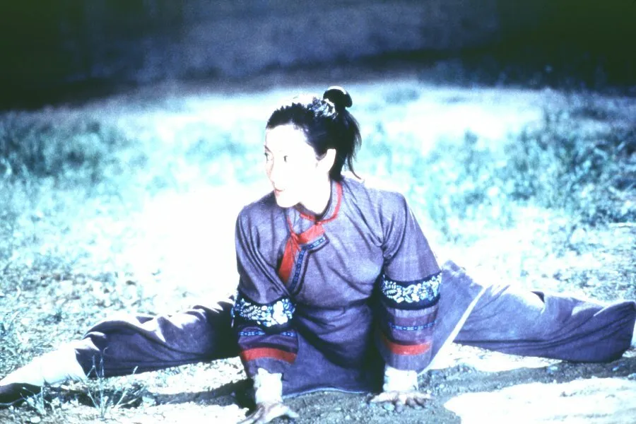 Кадр из фильма Крадущийся тигр, затаившийся дракон