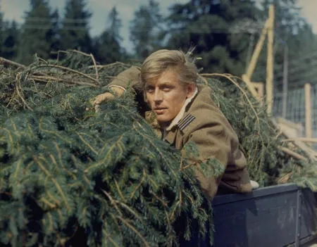 Кадр из фильма Большой побег