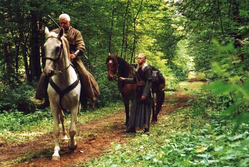 Кадр из фильма Ведьмак