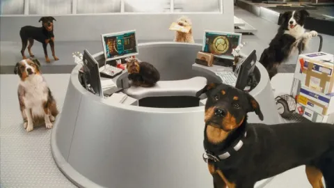 Кадр из фильма Кошки против собак: Месть Китти Галор