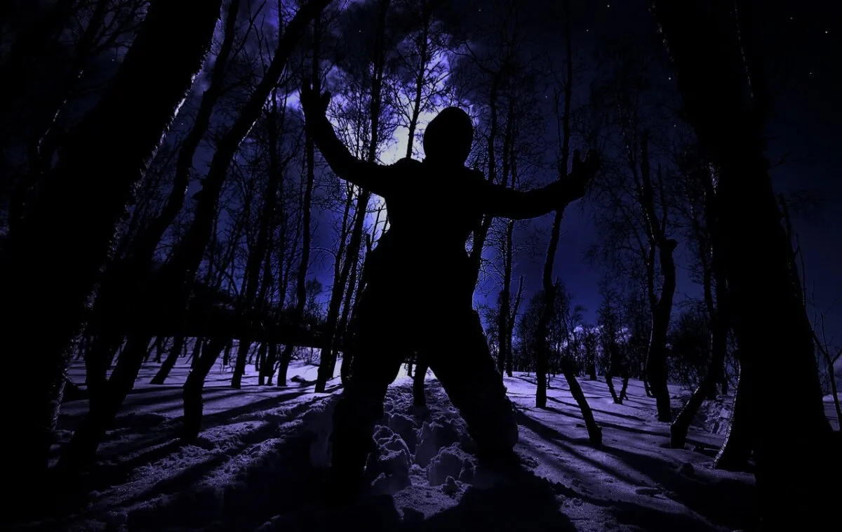 Кадр из фильма Операция «Мертвый снег»