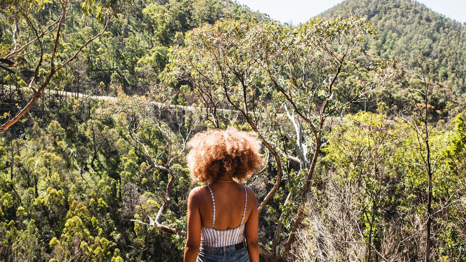 Кадр из фильма Сисси