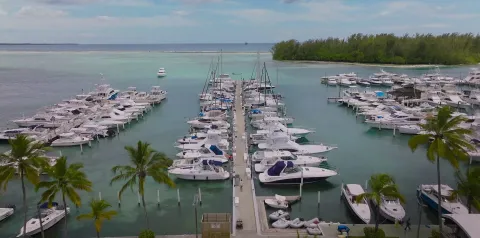 Кадр из фильма Выжившая