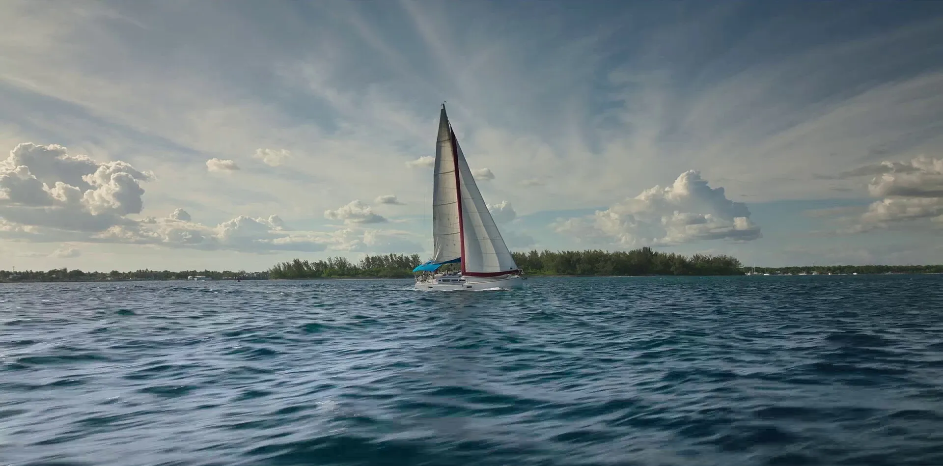 Кадр из фильма Выжившая