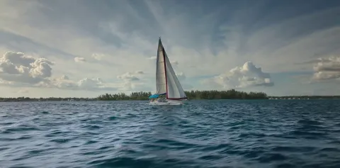 Кадр из фильма Выжившая