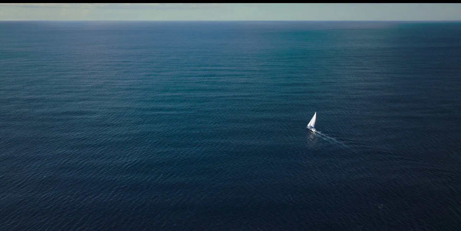 Кадр из фильма Выжившая