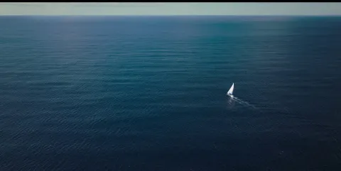 Кадр из фильма Выжившая