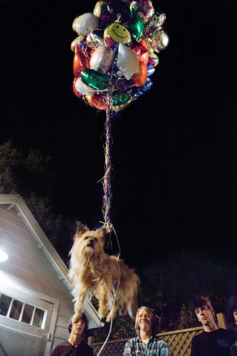 Кадр из фильма Проект X: Дорвались