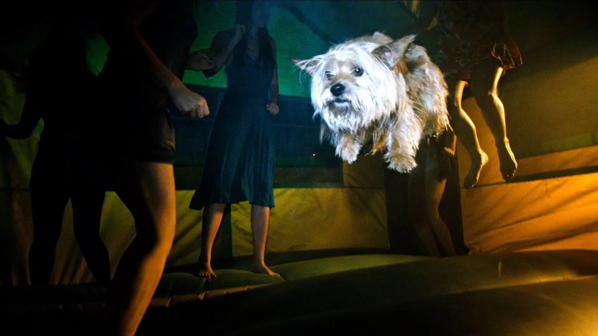 Кадр из фильма Проект X: Дорвались