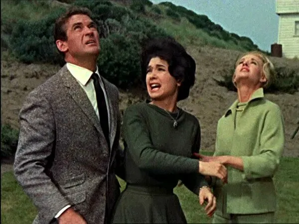 Кадр из фильма Птицы