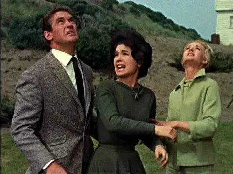 Кадр из фильма Птицы