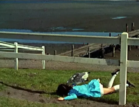 Кадр из фильма Птицы