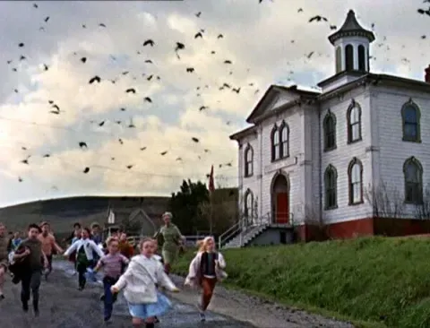 Кадр из фильма Птицы