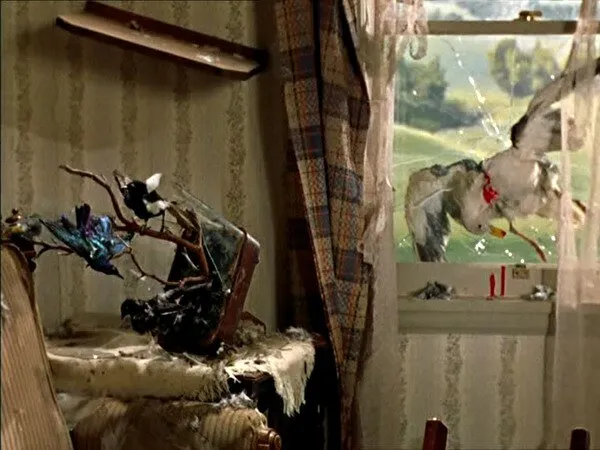 Кадр из фильма Птицы