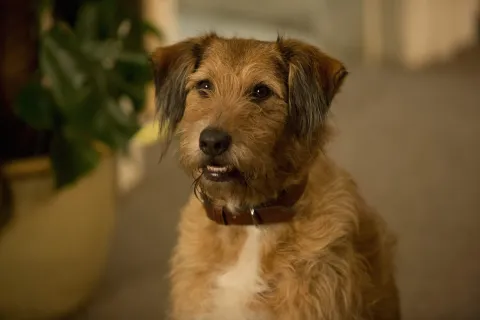 Кадр из фильма Всё могу