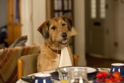 Кадр из фильма Всё могу