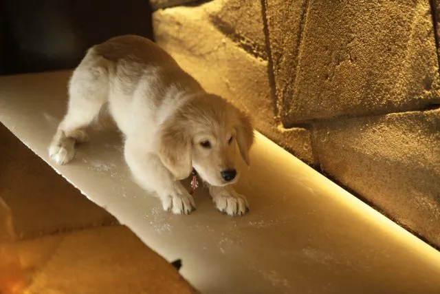 Кадр из фильма Пятерка кладоискателей