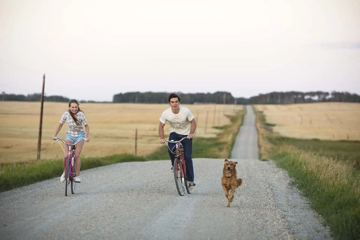 Кадр из фильма Собачья жизнь