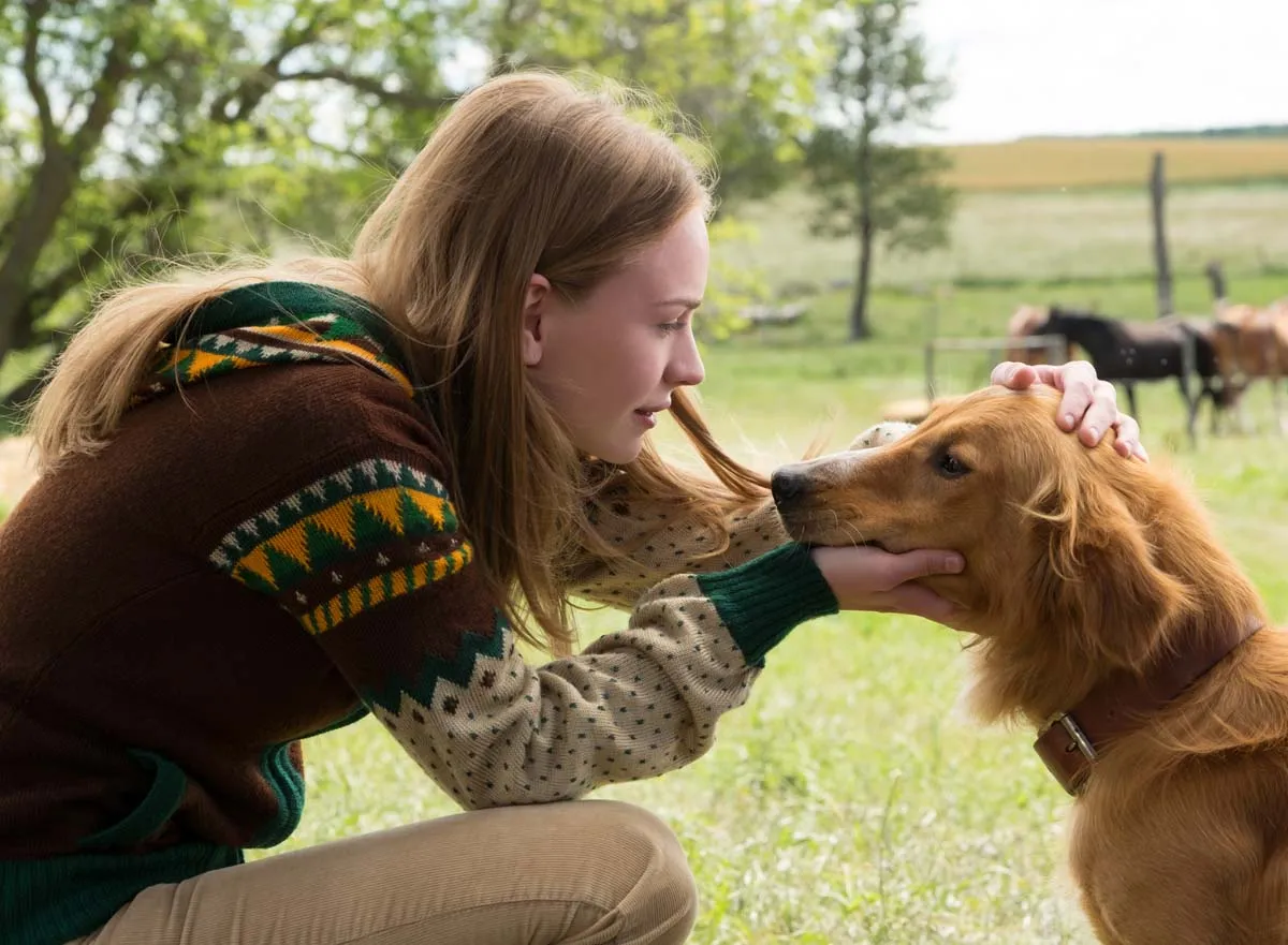 Кадр из фильма Собачья жизнь