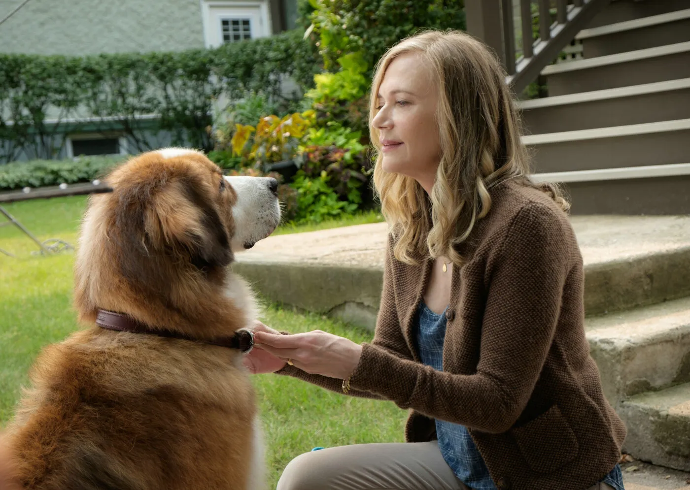 Кадр из фильма Собачья жизнь