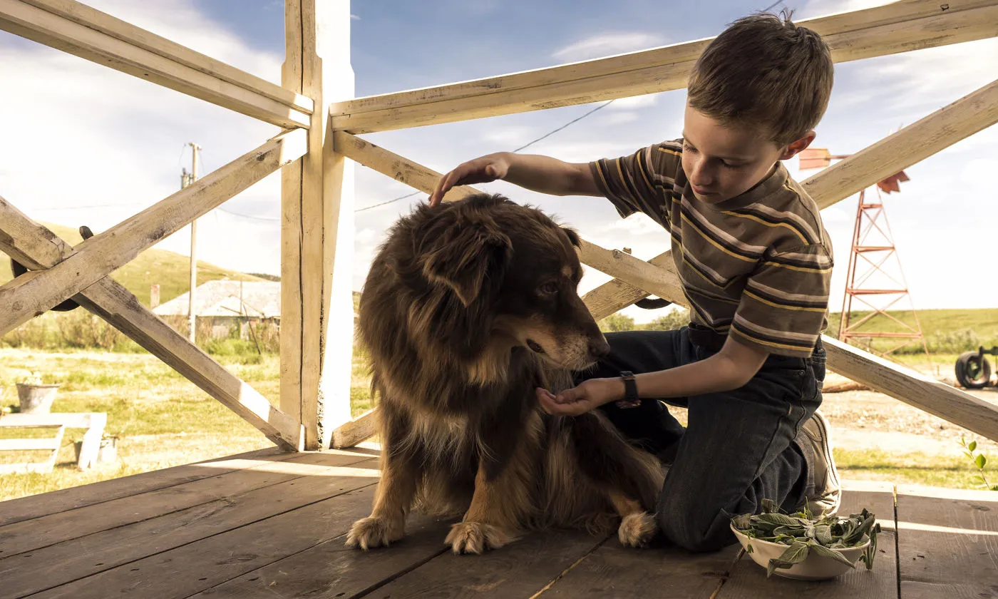 Кадр из фильма Невероятное путешествие мистера Спивета